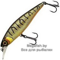 HL Shinning Tiger