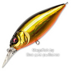 gg-megabass-kinkuro
