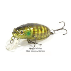 Beetle-Buster-40-655G