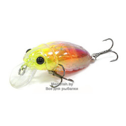 Beetle-Buster-40-AR239G