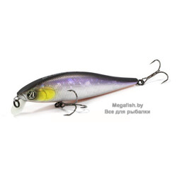 Vobler-Pontoon-21-Bet-A-Minnow-102SP-SR-A11
