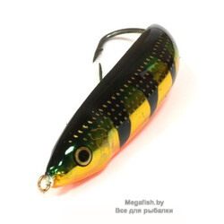 Rapala-Minnow-Spoon-FLP