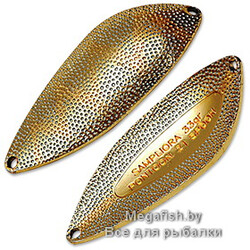 Blesna-Pontoon-21-Sampliora-G22-202