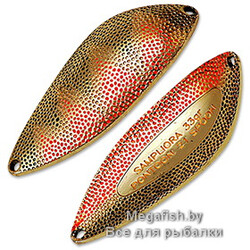 Blesna-Pontoon-21-Sampliora-G46-604
