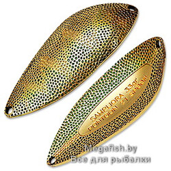 Blesna-Pontoon-21-Sampliora-G47-704