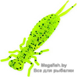 Tvister-Akara-Eatable-Insect-50-418