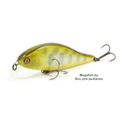 Vobler-Pontoon21-Bet-A-Shad-83SP-SR-351