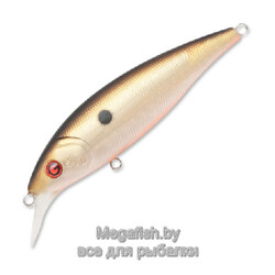 GAD-Prog-80F-SR-009-PM-Hera-T-RE