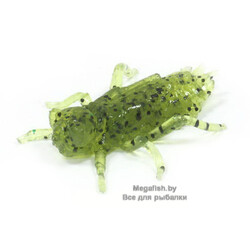 FishUp-Dragonfly-042