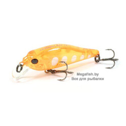 Pontoon21-Cheerful-40SP-SR-R46