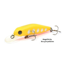 Pontoon21-CrackJack-48SP-MR-R43