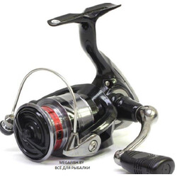 Daiwa-RX-20-LT-2500