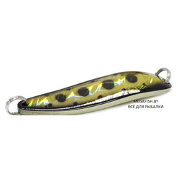 Daiwa-L-Chinook-S-Kurokin-amame