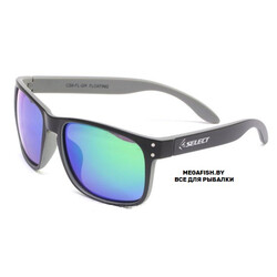 Select-CS6-FL-GR