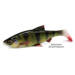 Savage-Gear-LB-4D-River-Roach