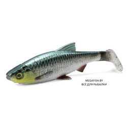 Savage-Gear-LB-4D-River-Roach-Green Silver