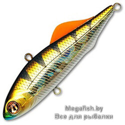 Pontoon21-Bet-A-Vib-61-Nano-Sound-007F