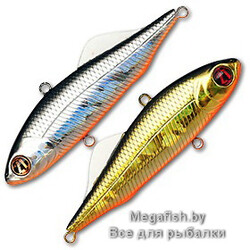 Pontoon21-Bet-A-Vib-61-Nano-Sound-111F