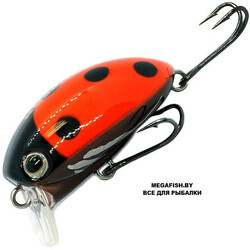 Kosadaka-May-Beetle-35F-B01