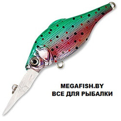 Kosadaka-Rat-XL-65F-TR
