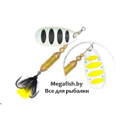 Blesna-Pontoon-21-AV-Type-B-PD42-082