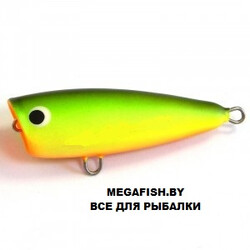 uzhgorodskiy-popper-9