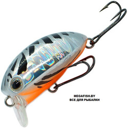 Kosadaka-May-Beetle-35F-B03
