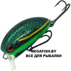 Kosadaka-May-Beetle-35F-B06