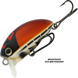 Kosadaka-May-Beetle-35F-B10