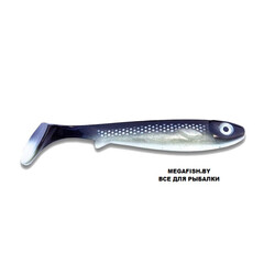 Kanalgratis-Flatnose-Shad-Coregonus