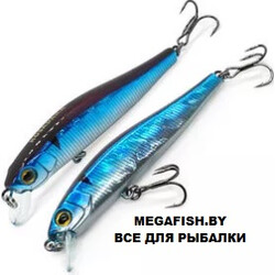 Kosadaka-Wins-XS-75SP-BLU