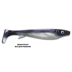 Kanalgratis-Fatnose-Shad-Coregonus