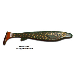 Kanalgratis-Fatnose-Shad-Motorpike