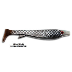 Kanalgratis-Fatnose-Shad-Real-Roach