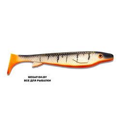 Kanalgratis-Fatnose-Shad-Search-and-Destroy