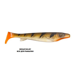 Kanalgratis-Fatnose-Shad-Transparent-Perch