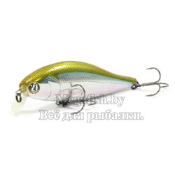Pontoon21-Bet-A-Shad-75SP-SR-012