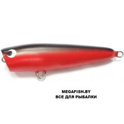 uzhgorodskiy-popper-1