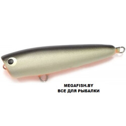 uzhgorodskiy-popper-4
