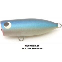 uzhgorodskiy-popper-6