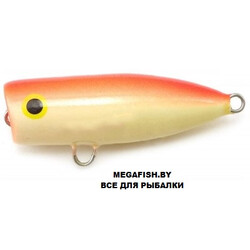 uzhgorodskiy-popper-11
