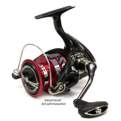 Katushka-Daiwa-Ninja-18-LT-1000