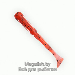 Fanatik-Boxer-3"-023