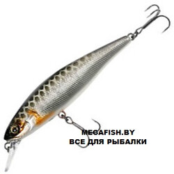 Jackall-Squad-Shad-HL-Silver-&-Black