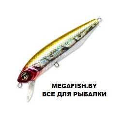 PONTOON21-Dexter-Minnow-A15