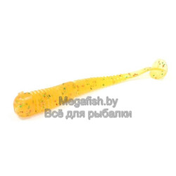 Fanatik-Boxer-009