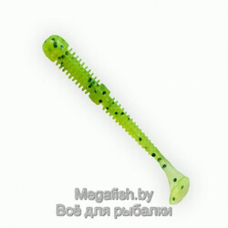 Fanatik-Boxer-022