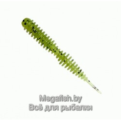 Fanatik-Dagger-022