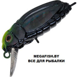 Beetle-Buster-40-A261
