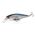 Воблер Lucky Craft Pointer 100SP (18 гр; 10 см; 1.2-1.5 м) MS American Shad 270